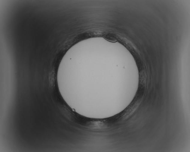 X0000100350509200806271405