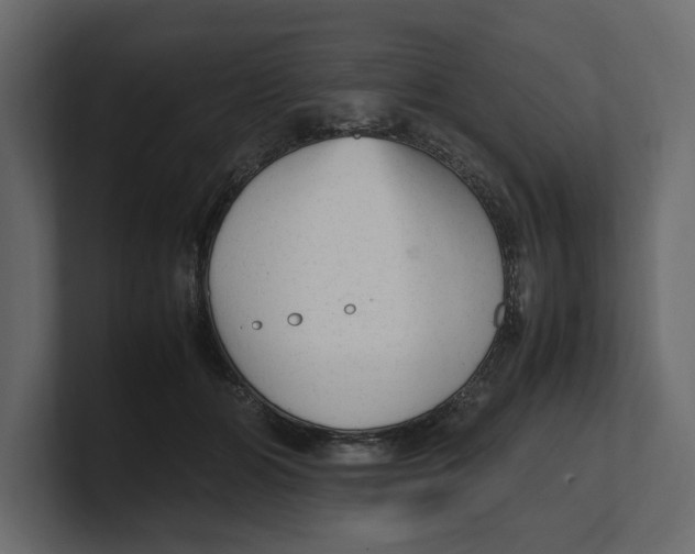 X0000100350510200806271405