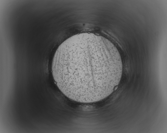 X0000100350512200806271405