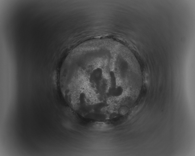 X0000100350519200806271405