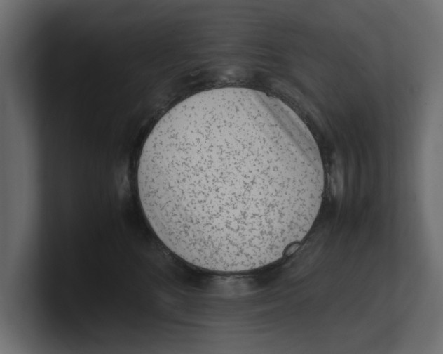 X0000100350520200806271405