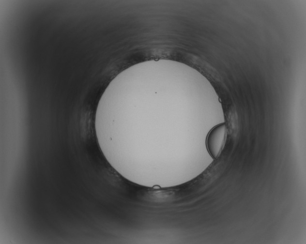 X0000100350522200806271405