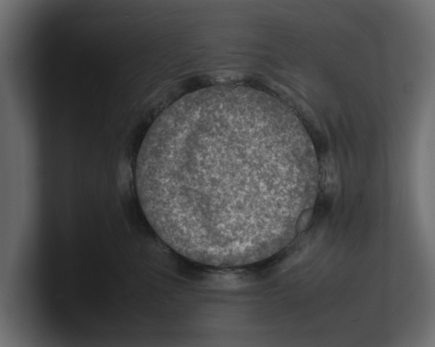 X0000100350523200806271404