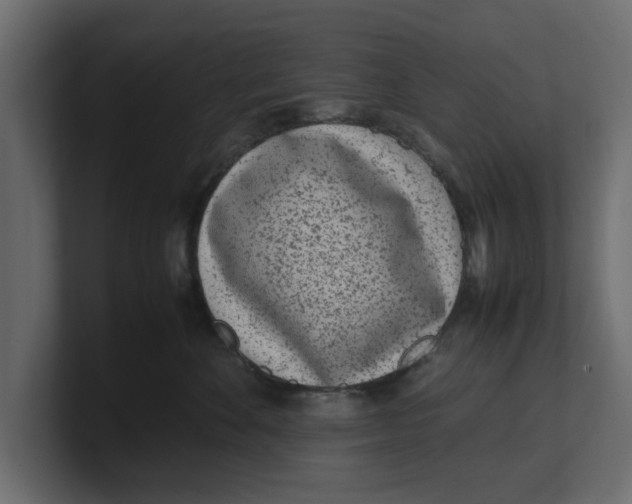 X0000100350524200806271404