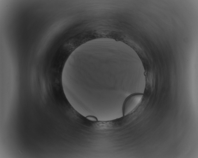 X0000100350526200806271404