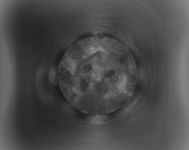 X0000100350527200806271404