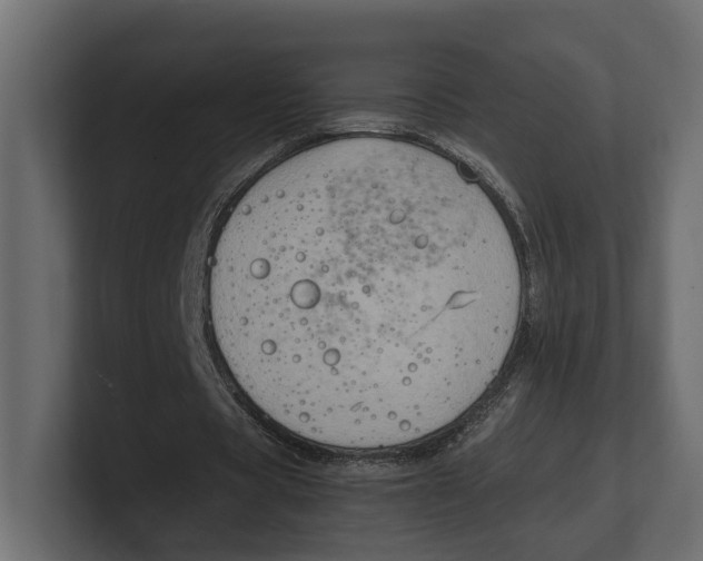 X0000100350529200806271404