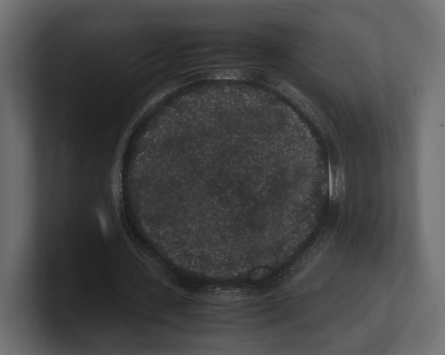 X0000100350531200806271404