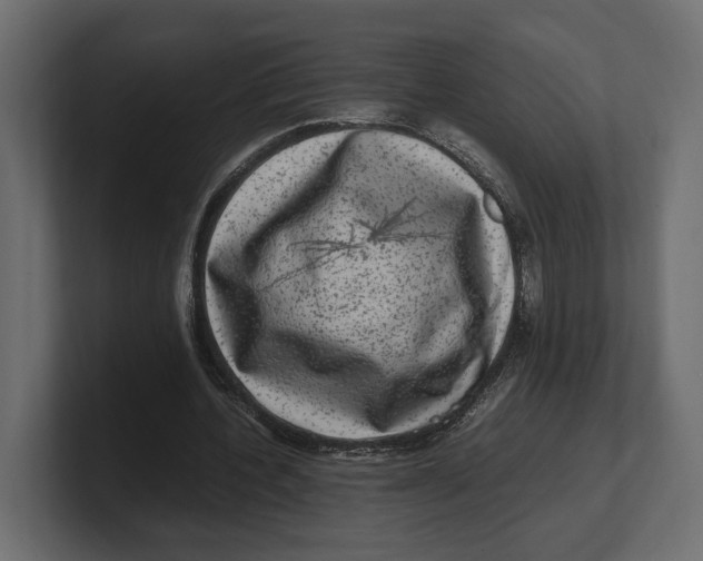 X0000100350532200806271404