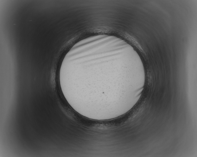 X0000100350538200806271404