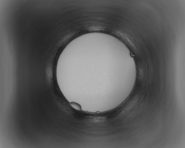 X0000100350539200806271404