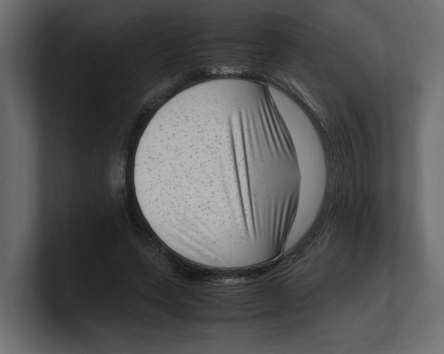 X0000100350543200806271404