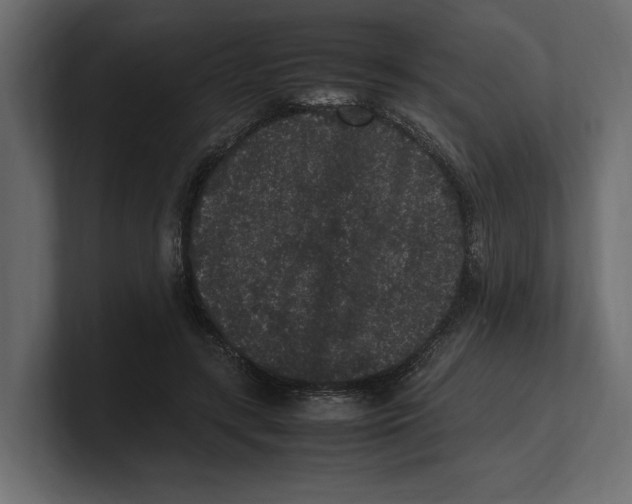 X0000100350547200806271404