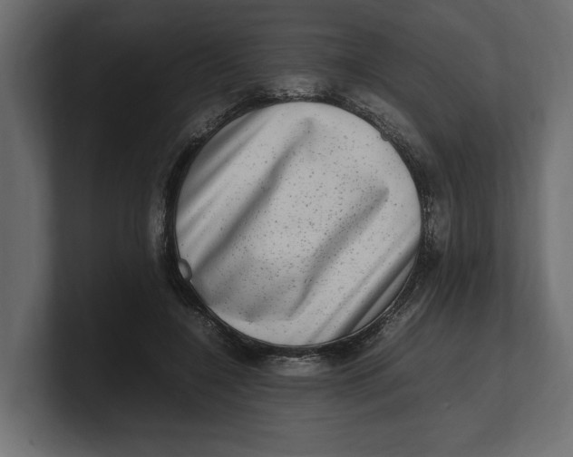 X0000100350548200806271404