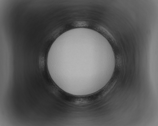 X0000100350549200806271404