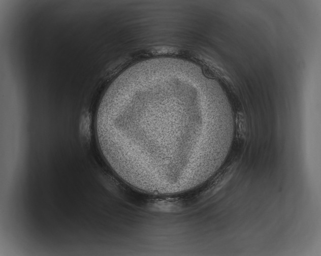 X0000100350550200806271404