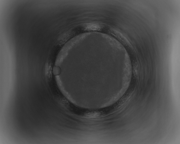 X0000100350551200806271404