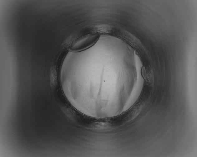 X0000100350552200806271404