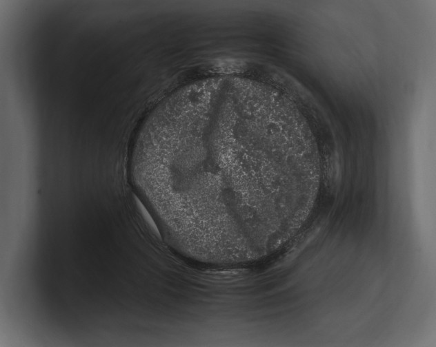 X0000100350553200806271404