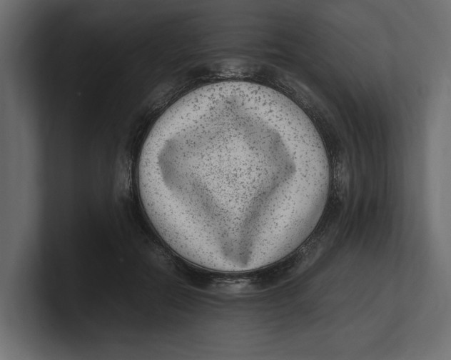 X0000100350554200806271404