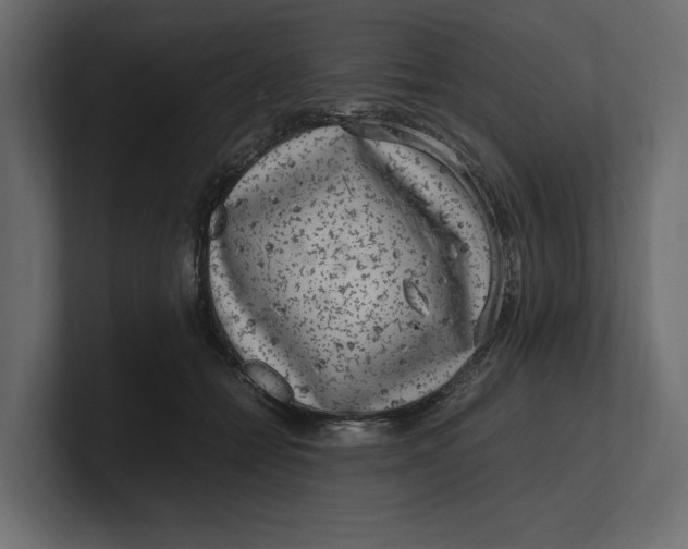 X0000100350558200806271404