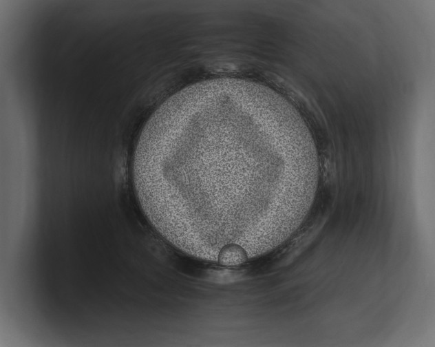 X0000100350561200806271404