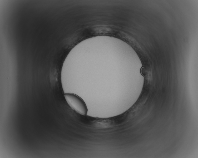 X0000100350567200806271404