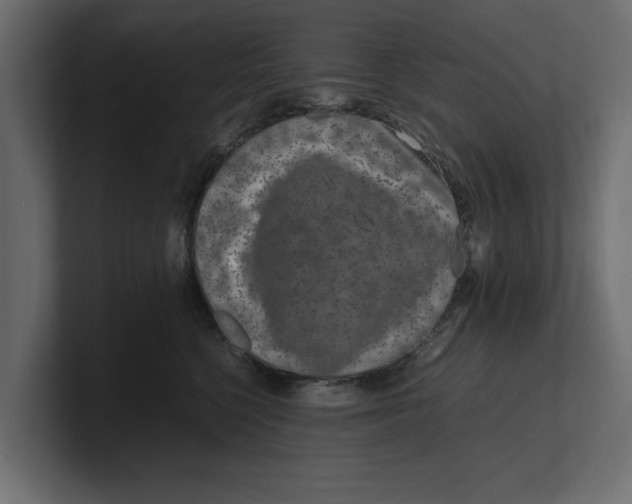 X0000100350568200806271404