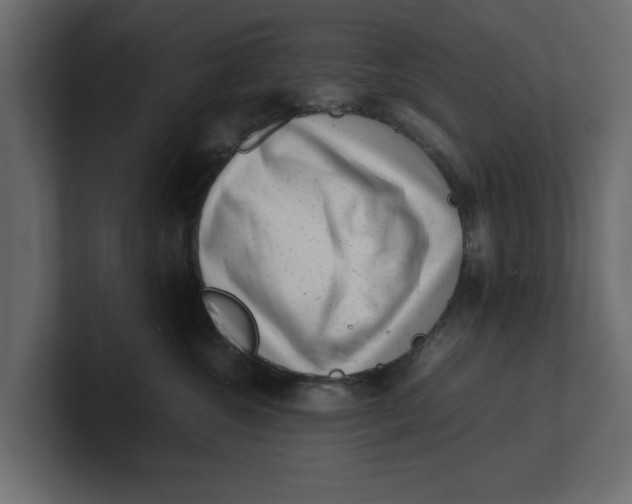 X0000100350572200806271404