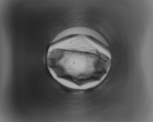 X0000100350576200806271404