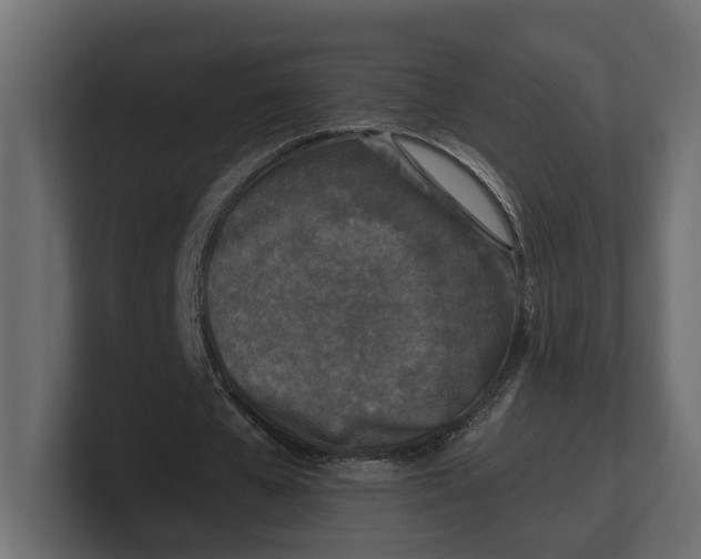 X0000100350577200806271404