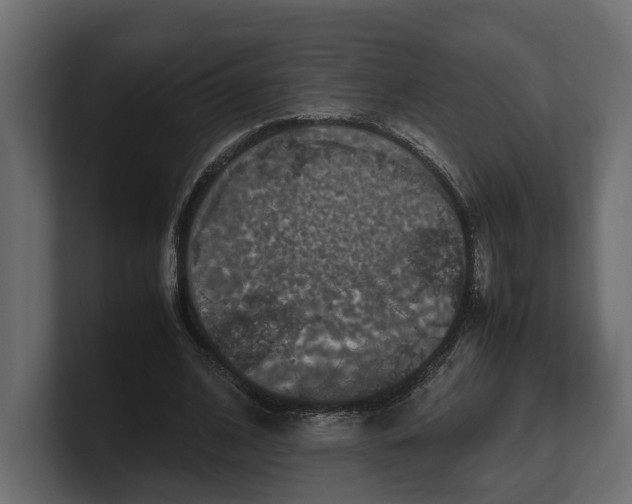 X0000100350584200806271404