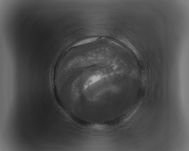 X0000100350585200806271404