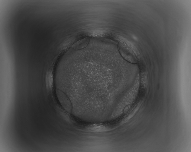 X0000100350589200806271404