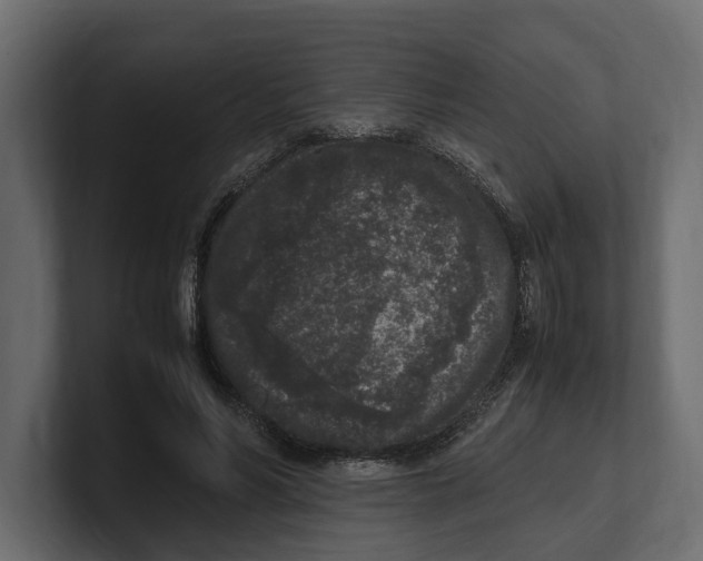 X0000100350590200806271404