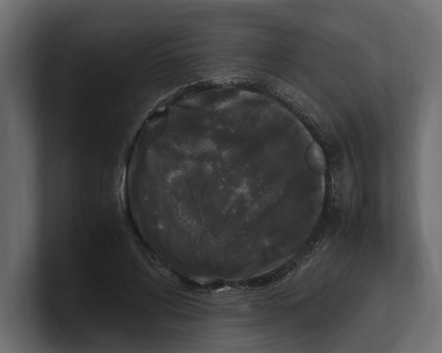 X0000100350592200806271404