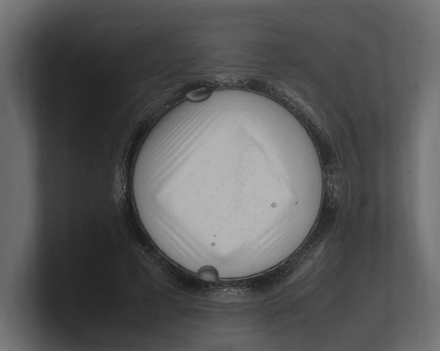 X0000100350593200806271404