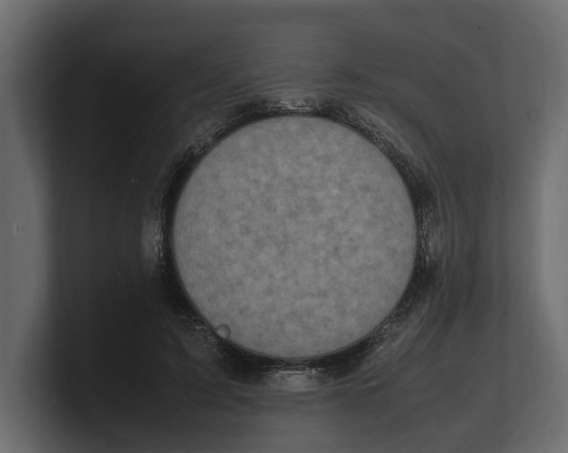 X0000100350595200806271403