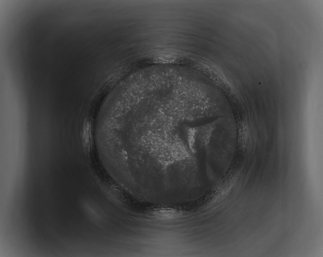 X0000100350598200806271403