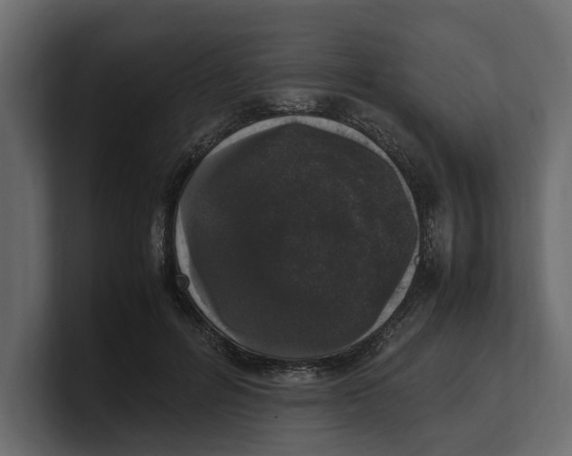 X0000100350600200806271403