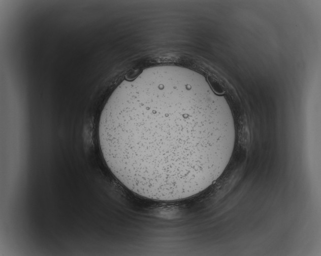 X0000100350604200806271403