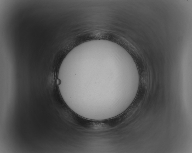 X0000100350605200806271403