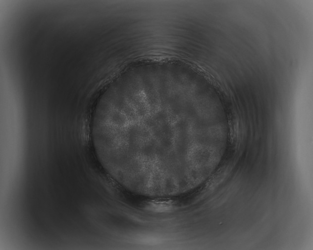 X0000100350606200806271403