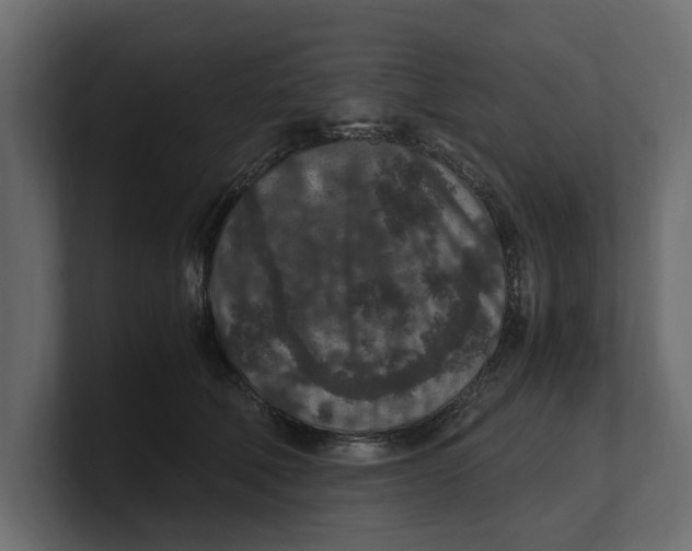 X0000100350610200806271403