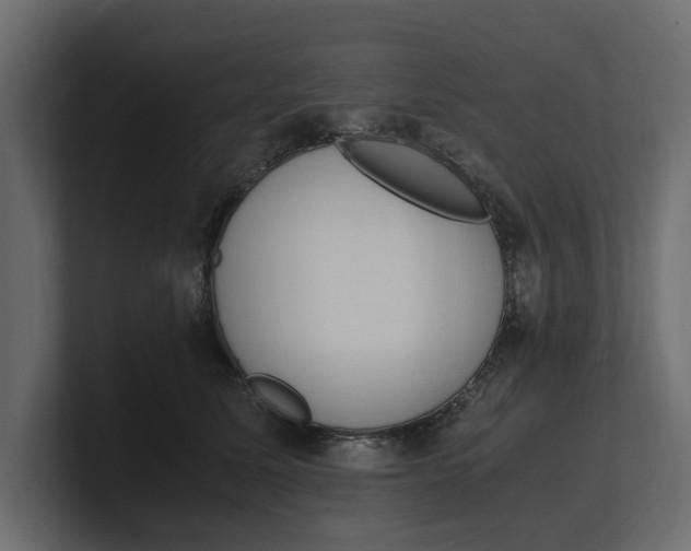 X0000100350611200806271403