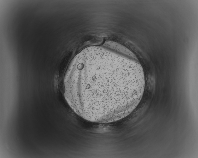 X0000100350612200806271403