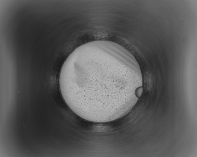 X0000100350614200806271403