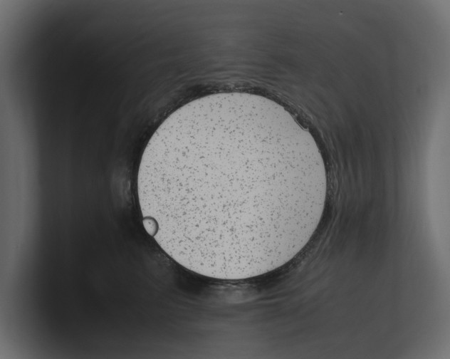 X0000100350615200806271403