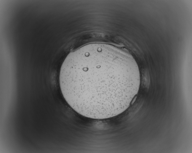 X0000100350616200806271403