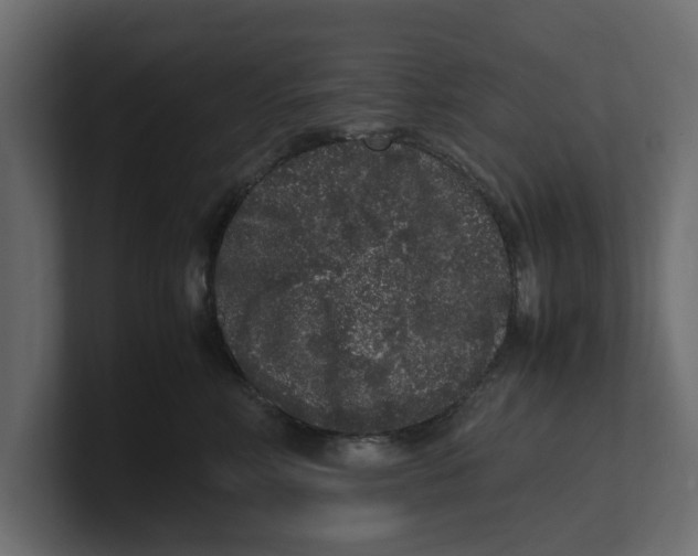 X0000100350618200806271403